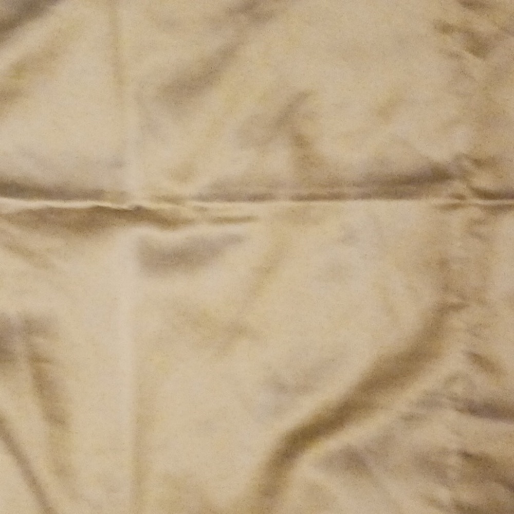 2 Domain King Pillow Shams 22x37"